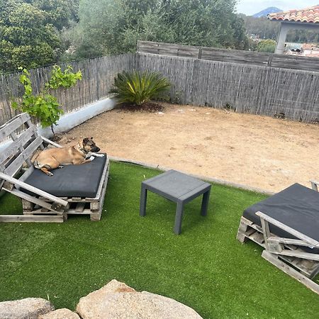 Villa Orethaga Piscine 10 Pers Porto Vecchio Ngoại thất bức ảnh
