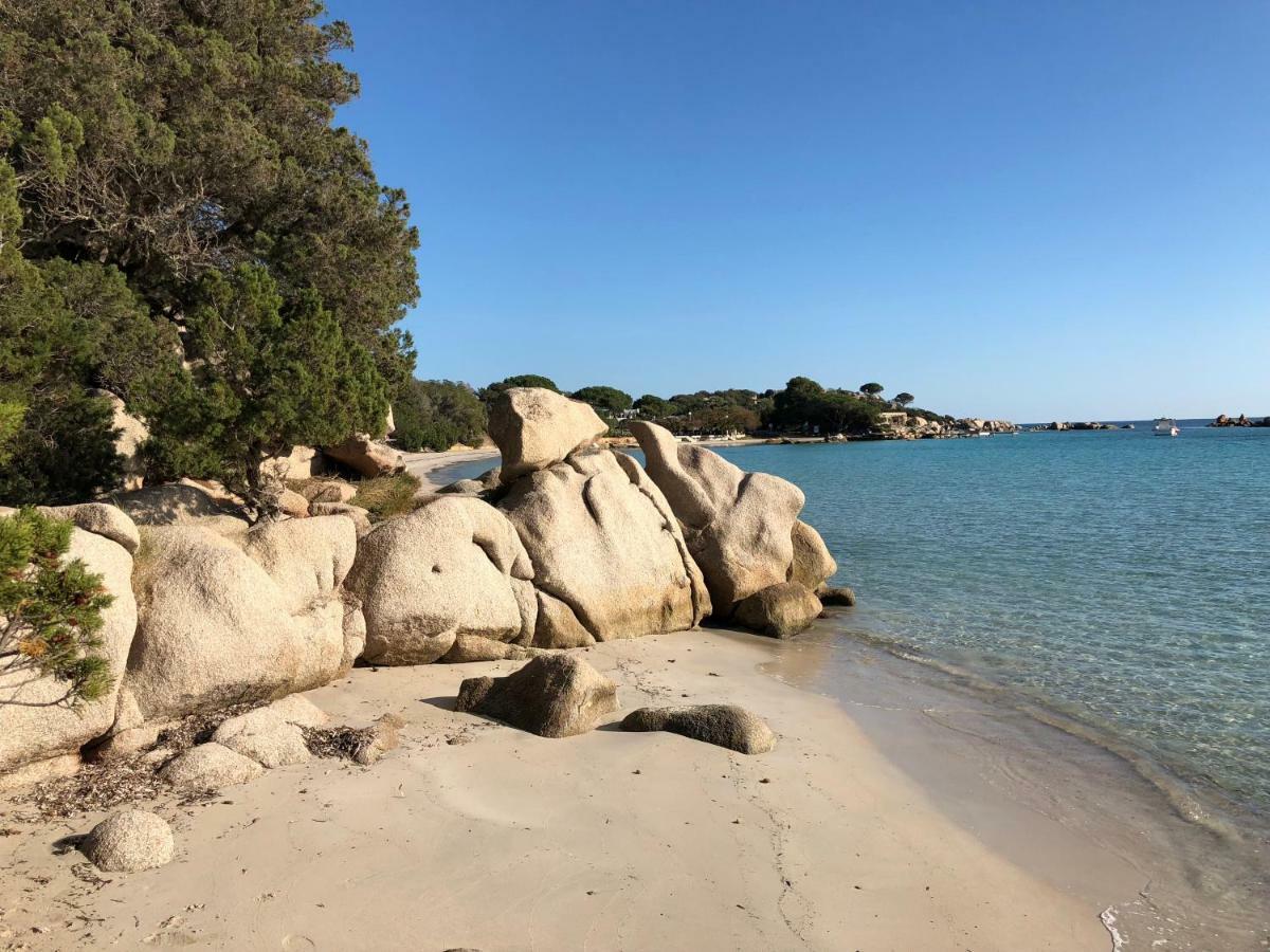 Villa Orethaga Piscine 10 Pers Porto Vecchio Ngoại thất bức ảnh